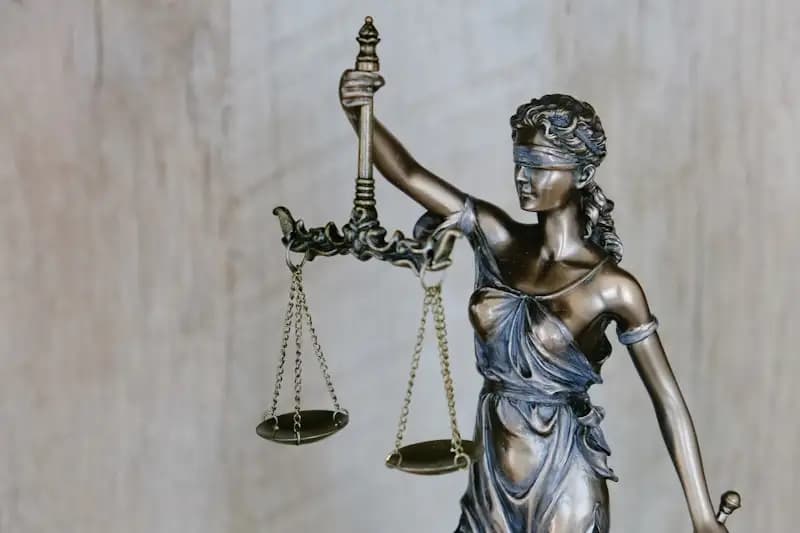 Legal Expertise